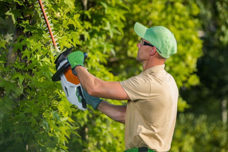 How to Choose The Right Handle for Your Hedge Trimmer