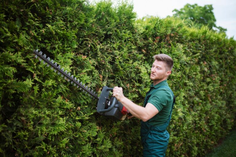 How to Choose The Right Weight for Your Hedge Trimmer