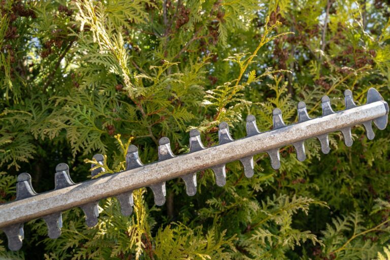 How to Choose The Right Blade for Your Hedge Trimmer