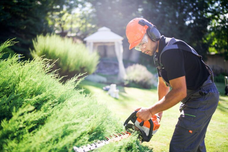 How to Reduce Hedge Trimmer Noise